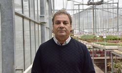 'Seralarda şeffaf panellerle enerji tasarrufu sağlanabilir' önerisi