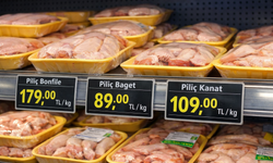 Osmaniye’de Tavuk Fiyatları Güncel