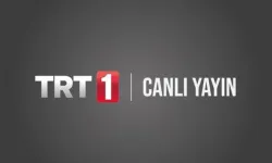 TRT 1 Canlı Yayın Erişimi Nasıl Sağlanır? Tabii Üzerinden TRT 1 Şifresiz İzleme Rehberi