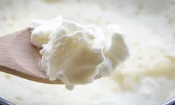 Kemik ve Bağışıklık İçin Doğal Destek! Manda Sütü Öne Çıkıyor