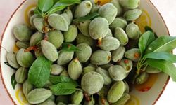 Mersin’den Osmaniye’ye İlk Çağlalar