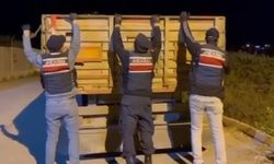 Adana'da kaçak makaron operasyonu: 1 tutuklama