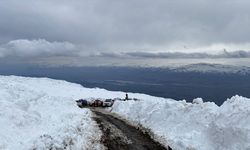 Ağrı Dağı'nda haber alınamayan kadın dağcı için arama çalışması sürüyor