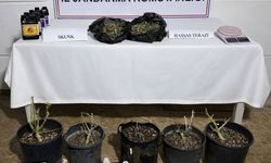 Aksu'da uyuşturucu operasyonunda 1 şüpheli yakalandı