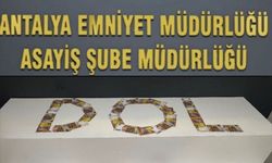 Antalya'da dolandırıcılık operasyonunda yakalanan 2 zanlı tutuklandı