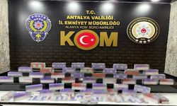 Antalya'da kaçakçılık ve organize suçlarla mücadele sürüyor