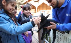 Antalya'da minik öğrenciler, yaban hayatı hakkında bilgi aldı