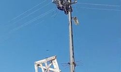 Aras Elektrik'ten doğa dostu adım: Fırtınada zarar gören leylek yuvaları yeniden yerine yerleştirildi