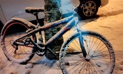 Ardahan'da kar yağışı etkili oldu