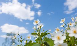 Kış Mevsiminin Bitmesine Kaç Gün Kaldı?