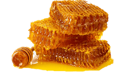 Osmaniye’de Propolis Kullanımı Artıyor