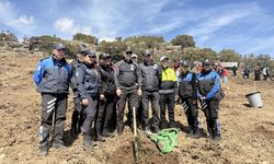 Burdur'da Orman Haftası'nda fidanlar toprakla buluşturuldu