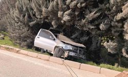 Bursa'da kontrolden çıkan otomobil ağaçlık alana uçtu, 1 yaralandı