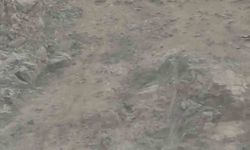 Diyarbakır'da nesli tükenme tehlikesi altında bulunan dağ keçileri sürü halinde görüntülendi