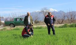 Düziçi’nde Tarla ve Bahçelerde Sıkı Denetim