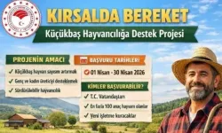 Osmaniye’de Küçükbaş Desteği Başlıyor