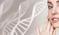 Kolajen Seviyenizi Artıracak Beslenme Önerileri