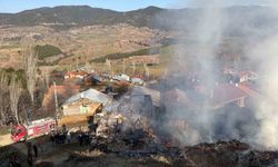 Köyde korkutan yangın: Evler ve ahırlar küle döndü