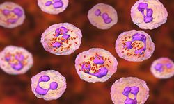 Menenjit Vakaları Arttı mı! Dünya Alarm'da Bebekler ve Gençler İçin Kritik Uyarı