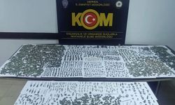 Mersin'de 5 bin 516 obje, figür ve sikke ele geçirildi