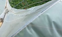 Mersin'de dolu ve fırtına tarım alanlarına zarar verdi