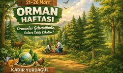 Kaymakam Yurdagül’den Orman Haftası Mesajı