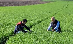 Osmaniye’de Süne Mücadelesi Sürüyor