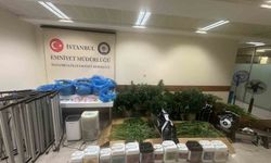 Sultanbeyli'de kenevir serasına baskın: 21 kilo Hint keneviri ele geçirildi