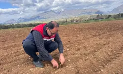 Düziçi’nde Tarlalara Yakın Takip