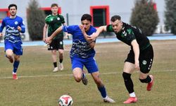 TFF 3. Lig: 2. Grup: Erciyes 38 FK: 3 - Kırşehirspor: 2