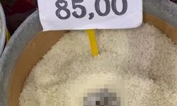 Pirinçte Kedi Dışkısı Şoku