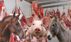 Adana Başta Olmak Üzere  At, Eşek ve Domuz Eti Yediren İller Belli oldu!