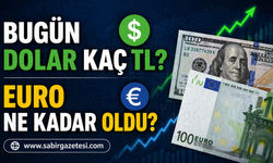 Bugün Dolar Kaç TL? Euro Ne Kadar Oldu?