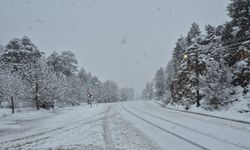 Burdur'un Altınyayla ilçesinde kar yağışı etkili oldu