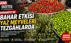 Osmaniye’de Bahar Etkisi Yaz Meyveleri Tezgâhlarda