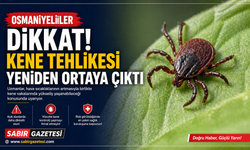 Osmaniyeliler Dikkat! Kene Tehlikesi Yeniden Ortaya Çıktı