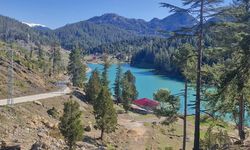 Osmaniye’de Bahar Renkleri: Doğa Çiçeklerle Canlandı