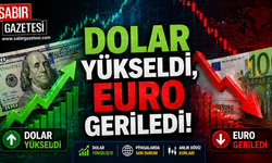 Dolar Yükseldi, Euro Geriledi
