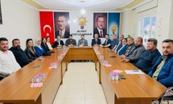 Düziçi’de AK Parti Toplantısı