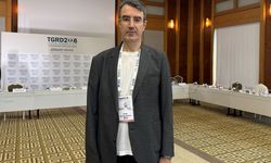 Göz ardı edilen karın içi varisler girişimsel radyolojiyle hızlı teşhis ediliyor