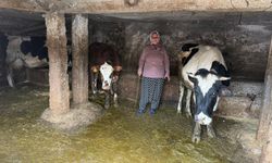 Osmaniye Hasanbeyli’de Kadın Üreticilere Destek