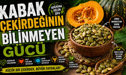 Kabak Çekirdeğinin Bilinmeyen Gücü