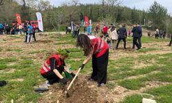 Kadirli’de “Adalet Ormanı”na Fidanlar Dikildi