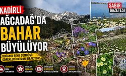 Kadirli Ağcadağ’da Bahar Büyülüyor
