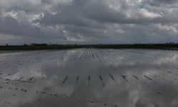 Kadirli’de Tarım Arazilerinde Zarar Tespiti