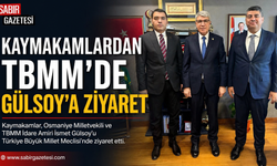 Kaymakamlardan TBMM’de Gülsoy’a Ziyaret