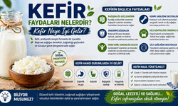 Kefir Faydaları Nelerdir? Kefir Neye İyi Gelir?