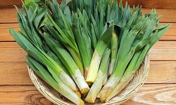 Körmen otu Nedir, Nasıl Pişirilir?