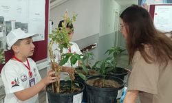 Kozan'da TÜBİTAK 4006 Bilim Fuarı düzenlendi