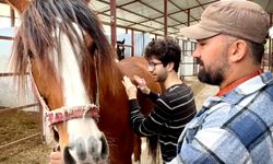 Mersin'de özel çocuklara at binme ve atla terapi eğitimi verildi